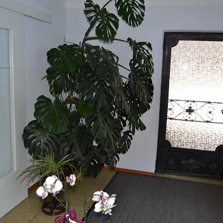 Gastehaus Feistritzer Guest house 3*